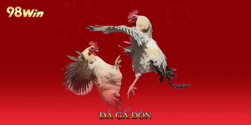 Đá Gà Đòn