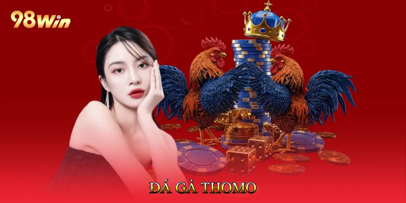 Đá Gà Thomo Tạo Cảm Giác Hồi Hộp Trong Mỗi Trận Đấu 1 Đá gà Thomo